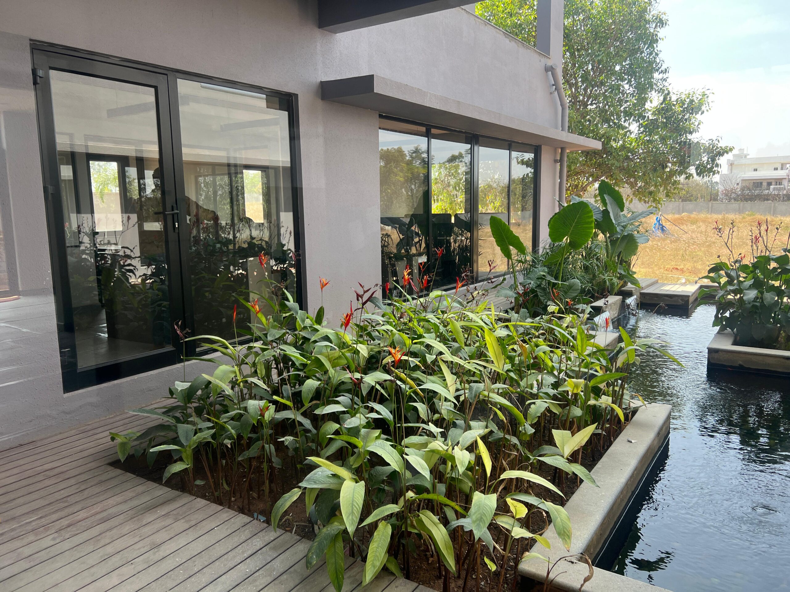 Robusta Series @ Pavan's Sadarhalli